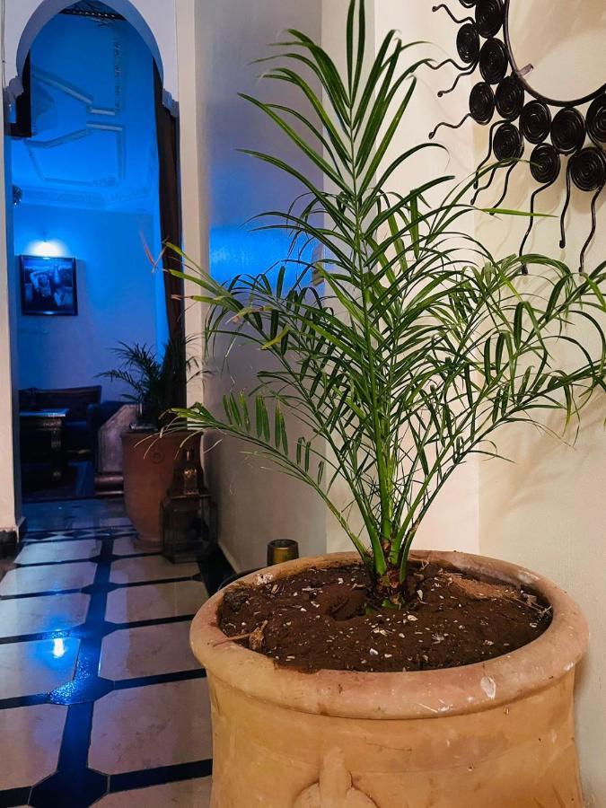 Riad Ms Holidays Terrasse Privatise Marrakech Marrákes Kültér fotó